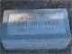 Photo of headstones/thumb_John McLennan (1828-1866) headstone Chapel Hill